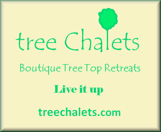 Tree house glamping holiday domain name treechalets.com for sale at bagsmethat.com